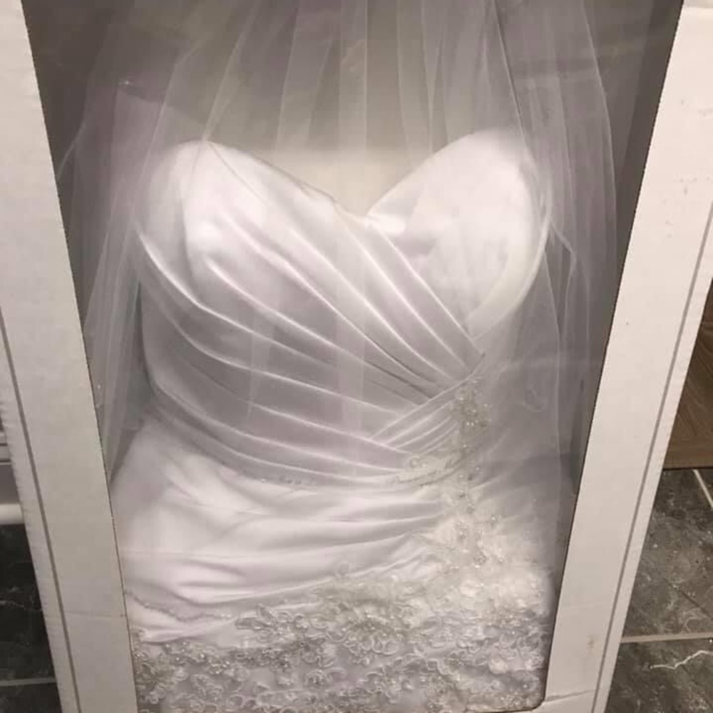 Bridal Gown - Picture 2 of 11